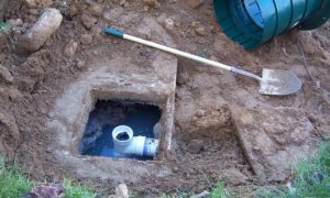 septic backup canton ga